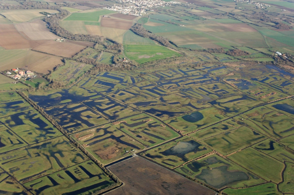 Vue aérienne du marais de voutron